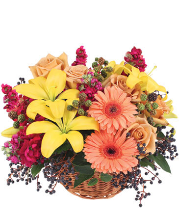 Sun-Kissed Country Floral Arrangement in Nebraska City, NE | Nebraska City Florist